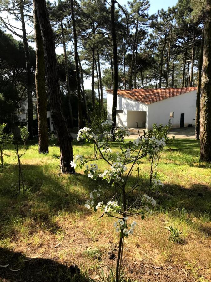 Villa Colares Sintra Extérieur photo
