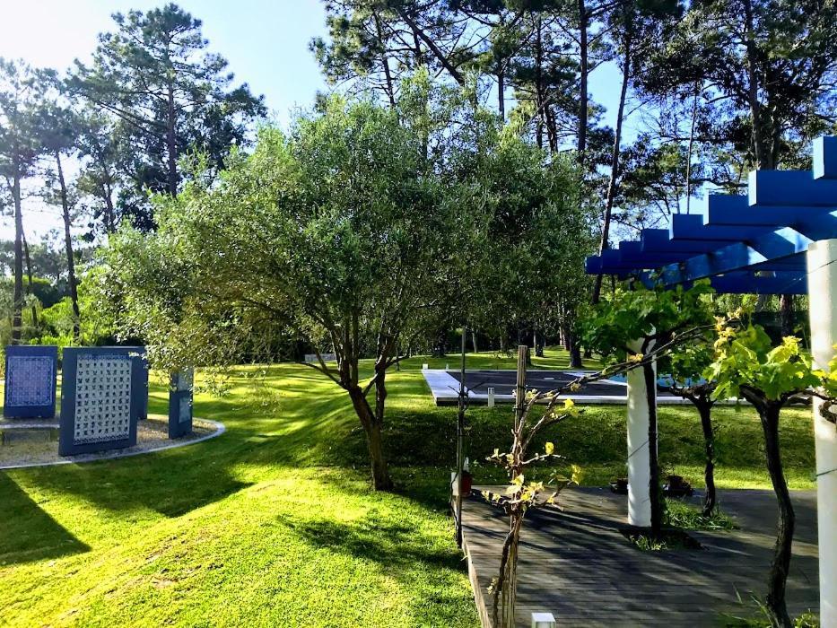 Villa Colares Sintra Extérieur photo